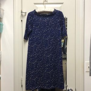 J Crew Sweater Dress